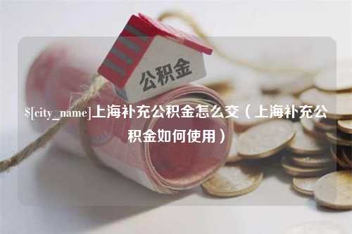 祁阳上海补充公积金怎么交（上海补充公积金如何使用）